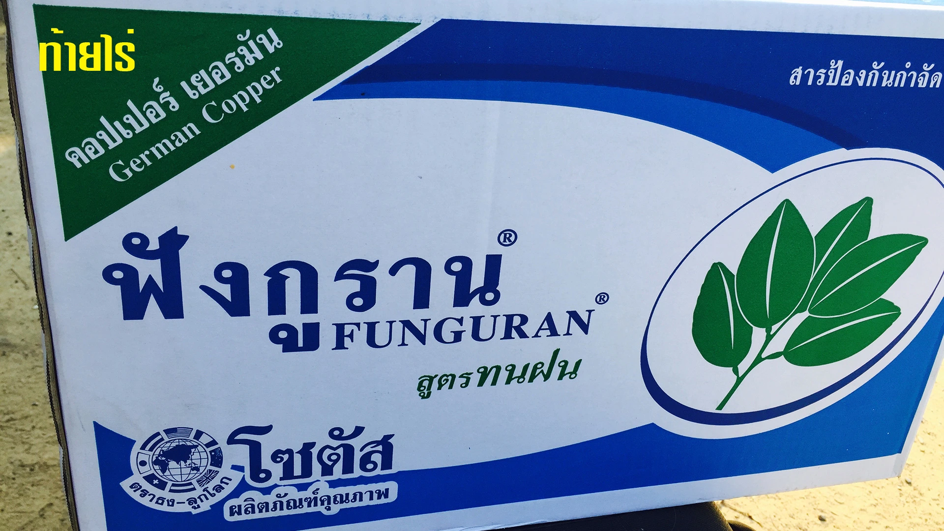 ฟังกูรานป้องกันแคงเกอร์