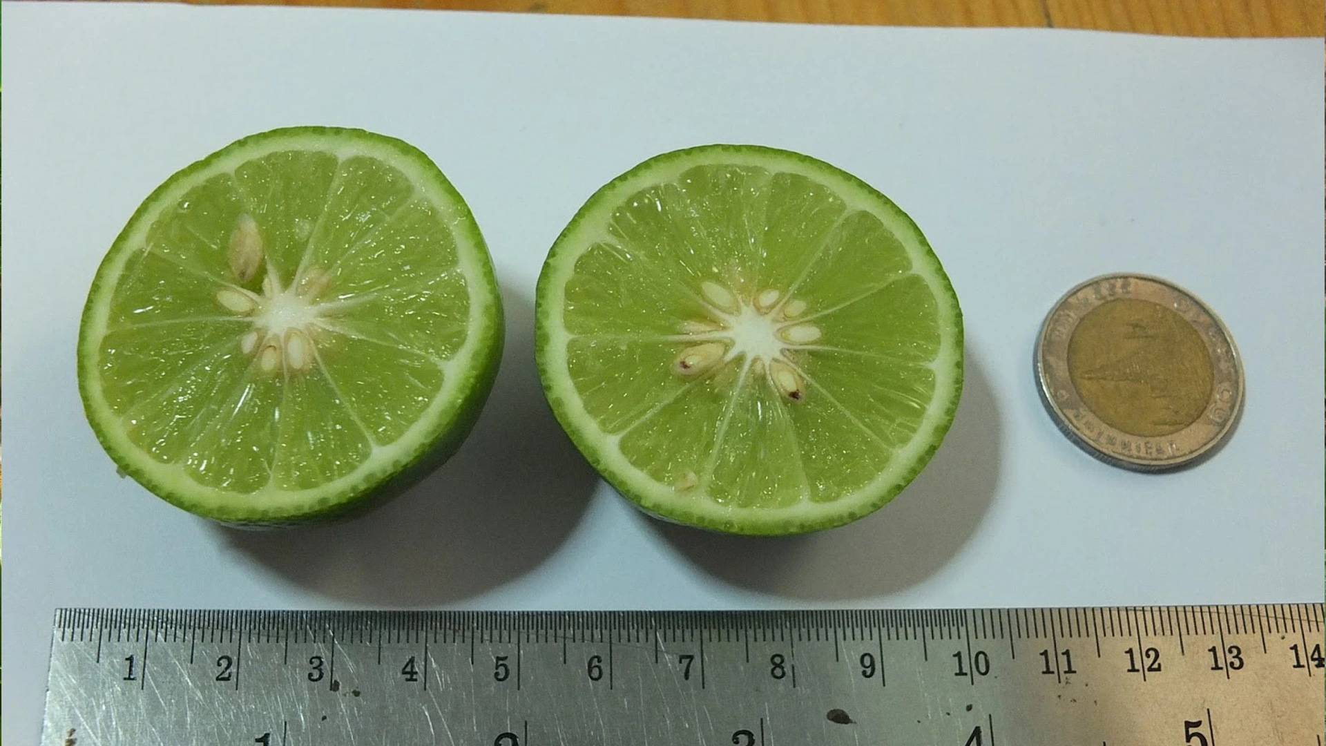 เหตุที่มะนาวบางสายพันธุ์ทนต่อโรค