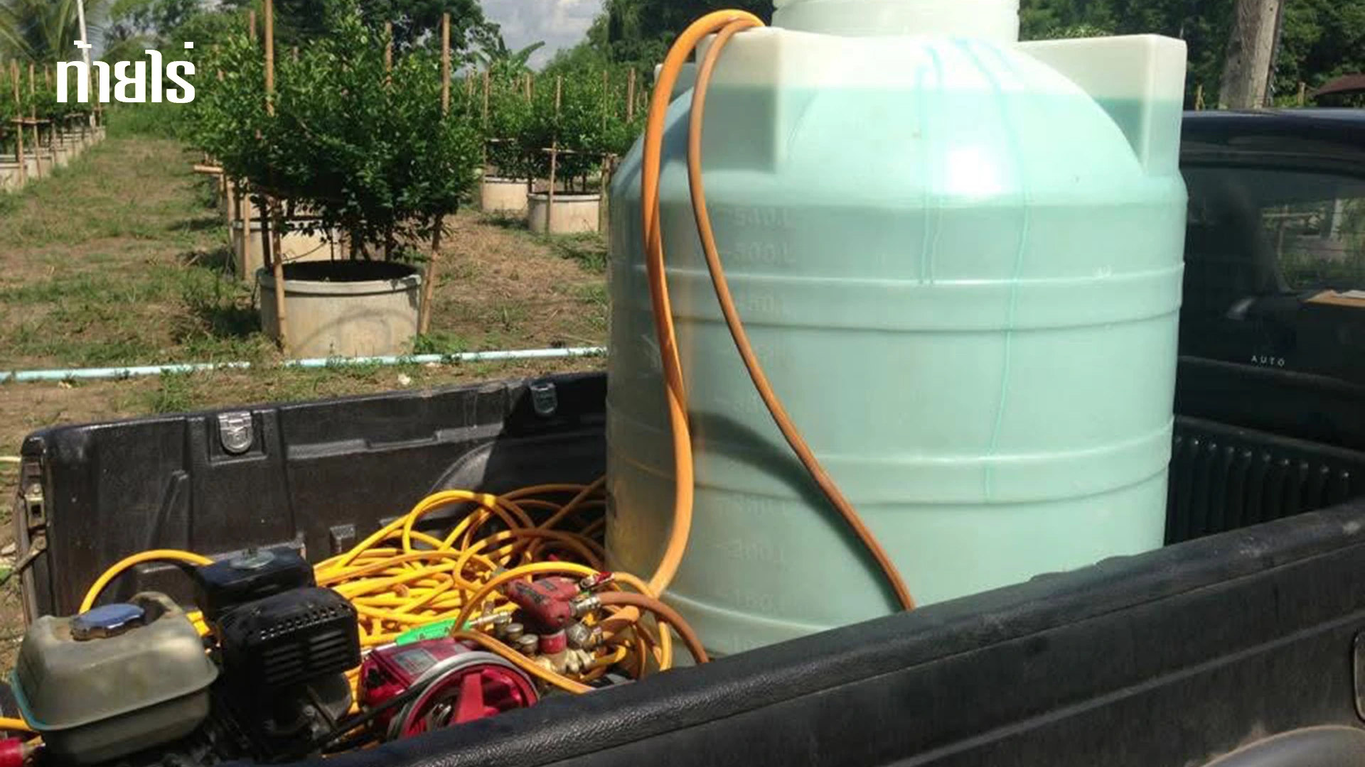 เมื่อผสมยาปุ๋ยธาตุรองรวมกัน