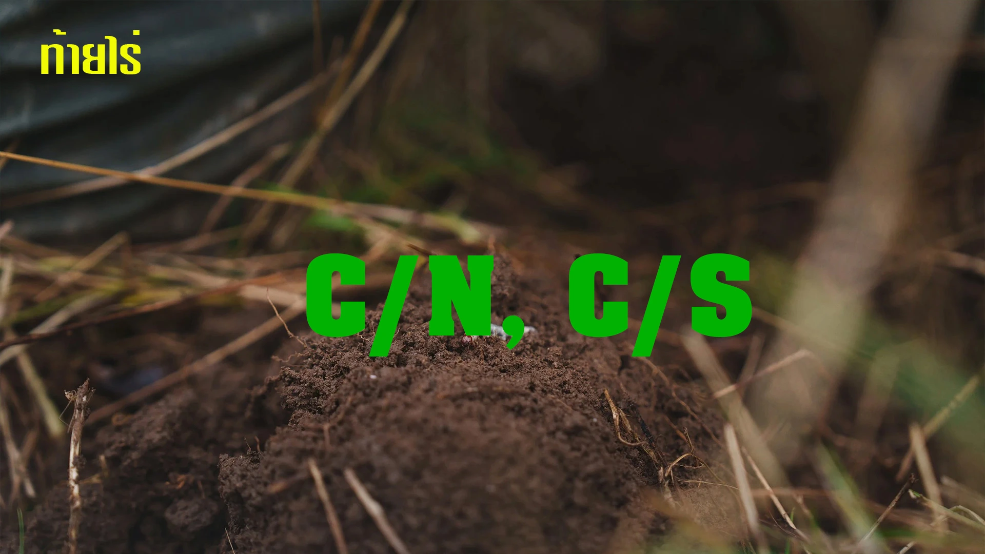 ค่า C/N และ C/S มีผลกับมะนาวอย่างไร