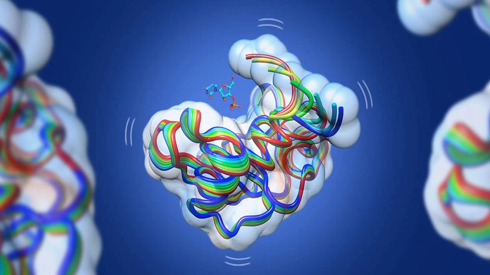 เอนไซม์ (Enzyme)