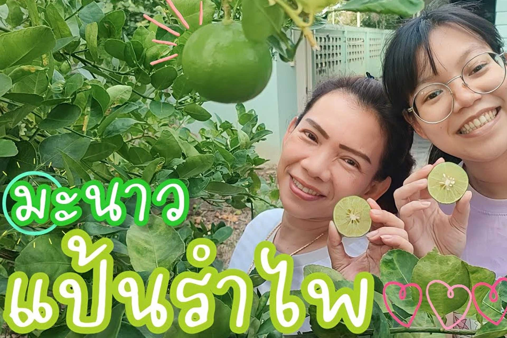 มะนาวแป้นรำไพ