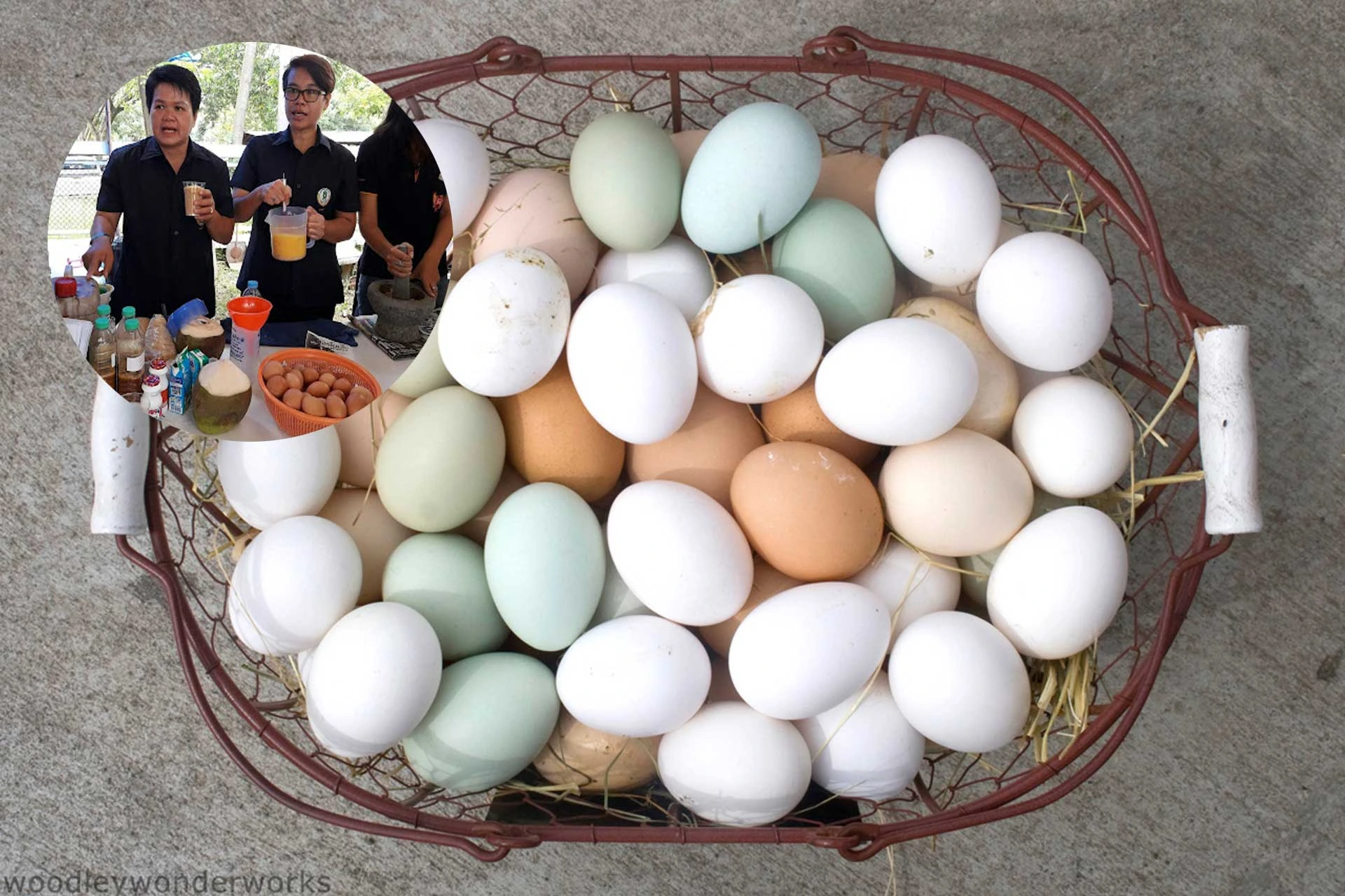 สูตรการทำฮอร์โมนไข่