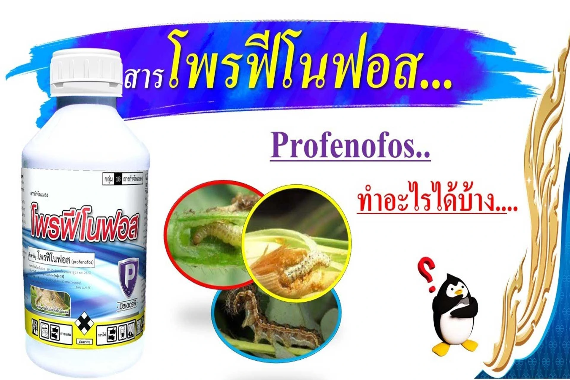 โปรฟีโนฟอส สัมผัสตายกินตาย