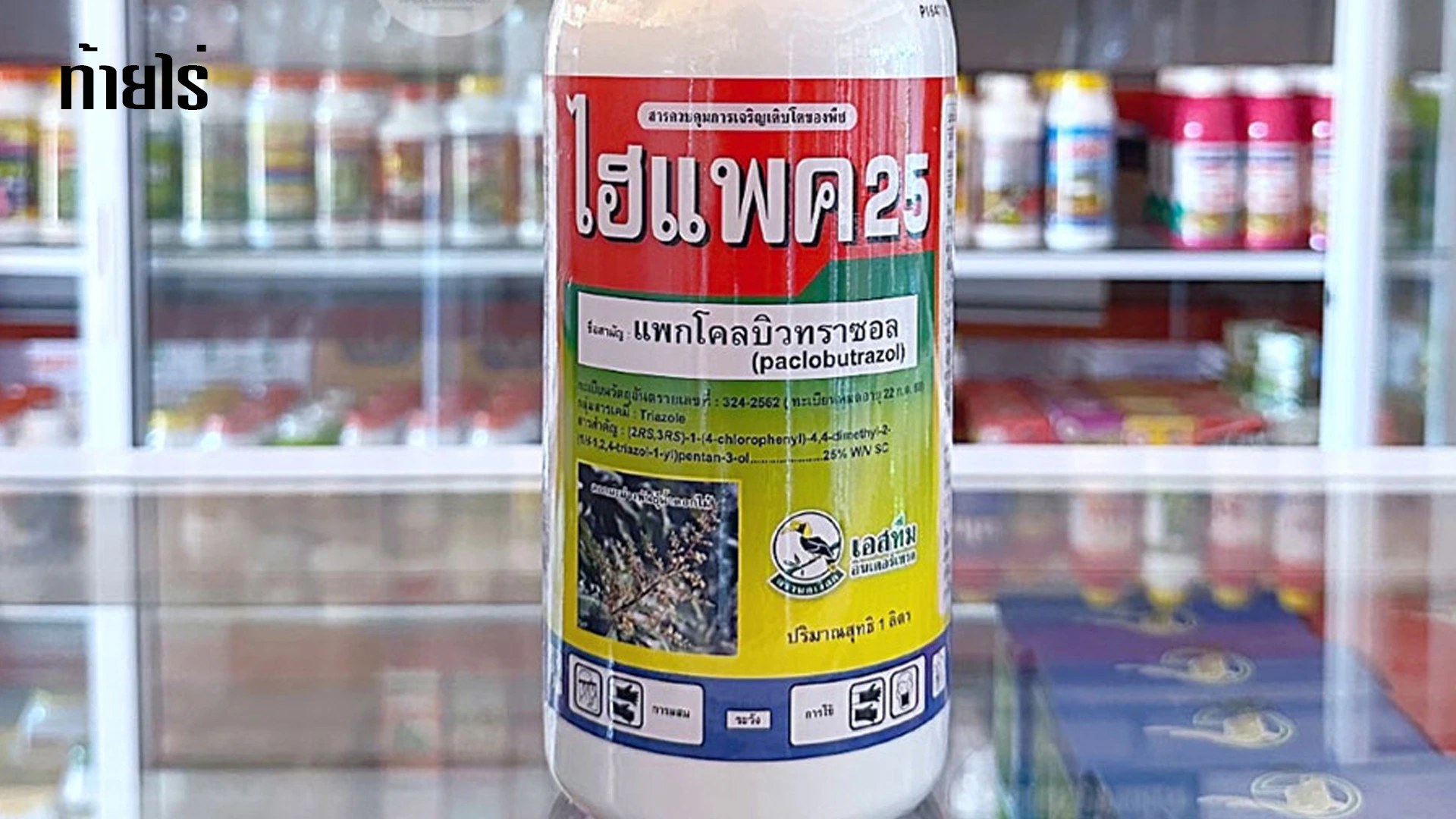 การใช้สารแพคโคลบิวทราโซล หยุดการแตกใบอ่อน