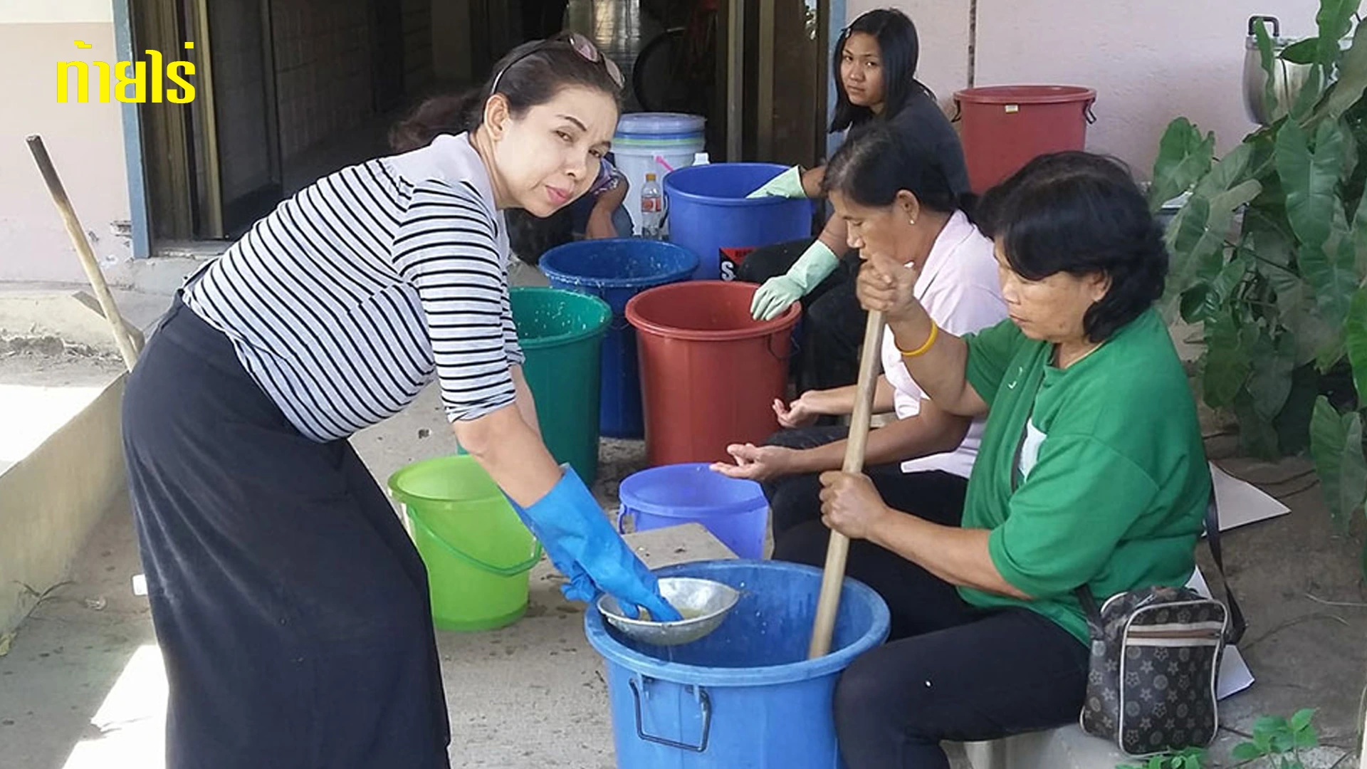 ลดการใช้สารเคมีด้วยมะนาว
