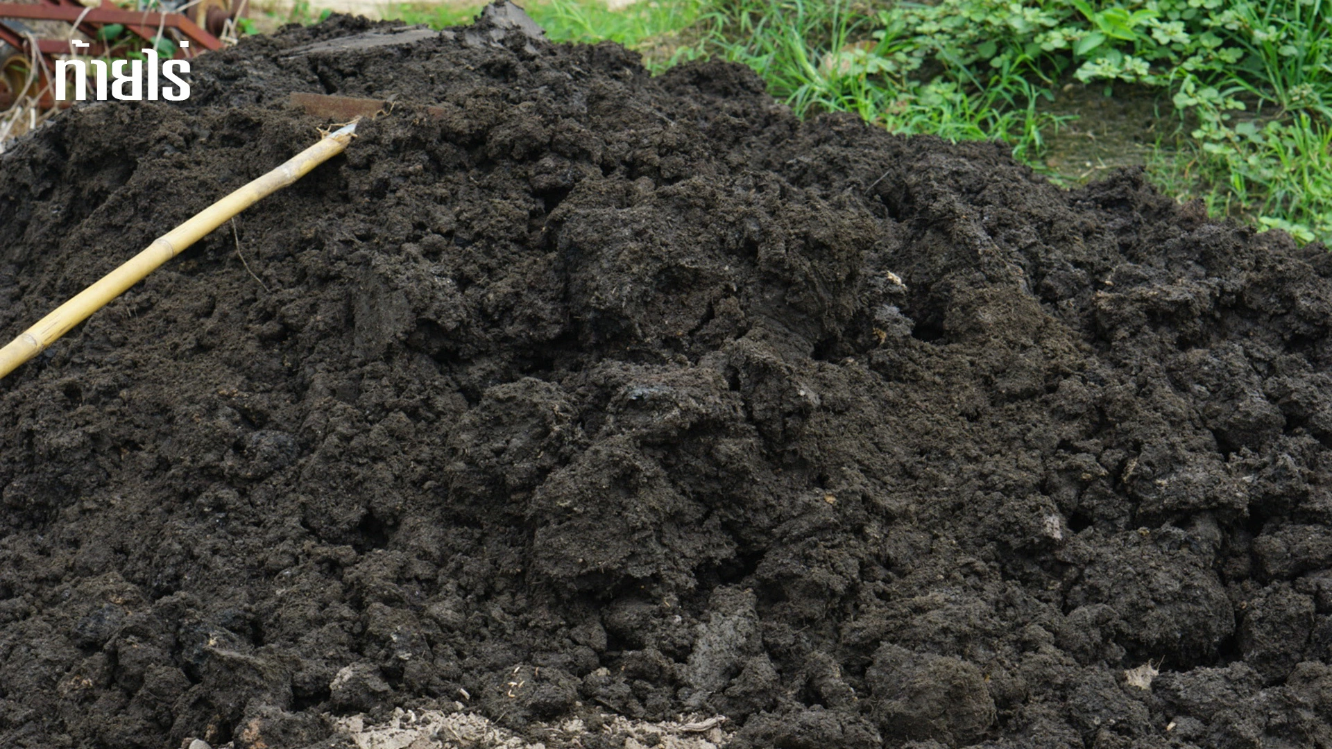 ดินจากโรงงานน้ำตาล