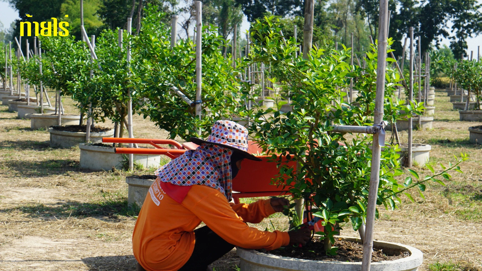 ตรวจเซ็คระบบน้ำอย่างสม่ำเสมอ