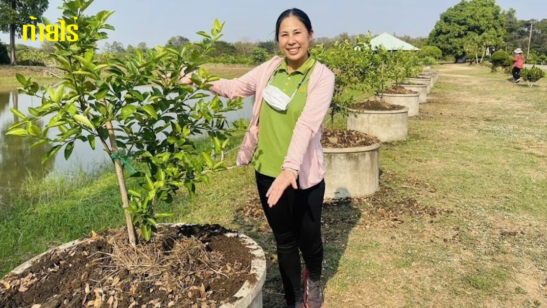 5 วิธีการฟื้นฟูดินสำหรับสวนมะนาว