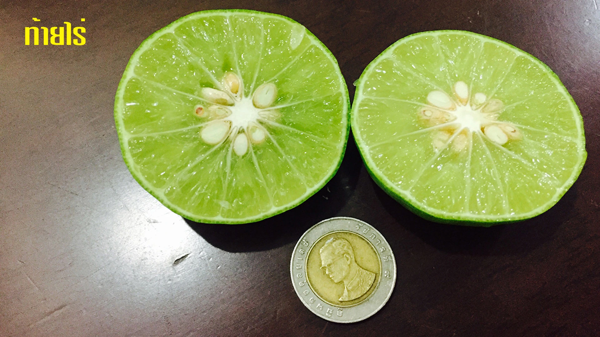 เกษตรกรมือใหม่ ปลูกมะนาว เพื่อการค้า เลือกสายพันธุ์ไหนดี