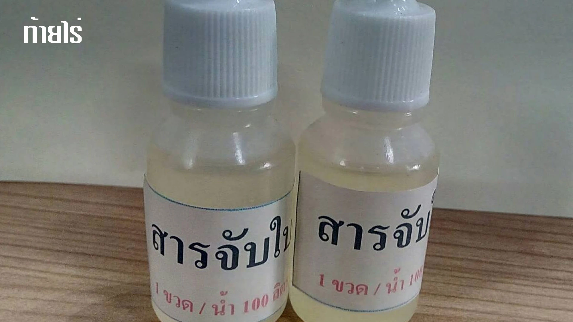 รู้จักสารจับใบ